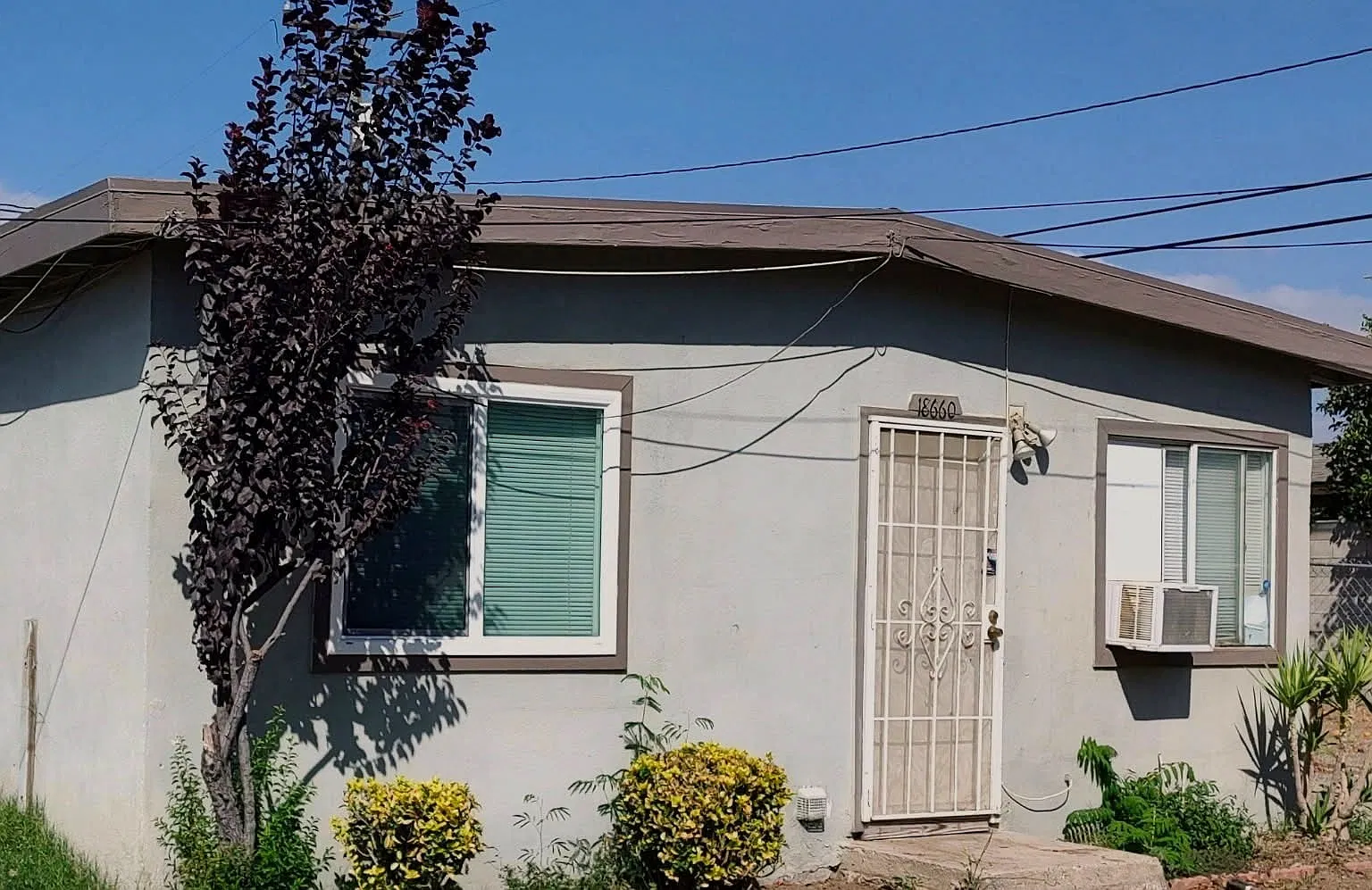 2 bed, 725 sqft, $1,800 — Photo 1