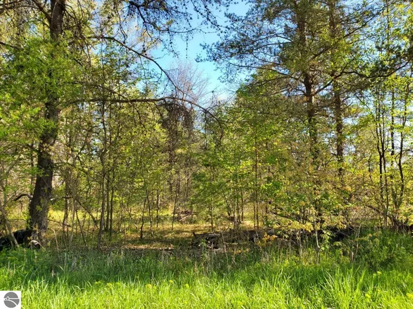 0 Donald St, Prescott, MI 48756