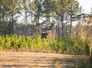 869 Chester Cochran Hwy, Chester, GA 31012