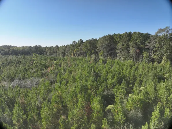 462 Pope Rd, Columbia, MS 39429