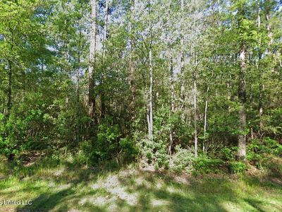 0 Shawnee St #21, Kiln, MS, 39556