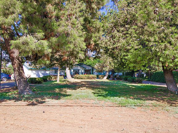 park like front yard
