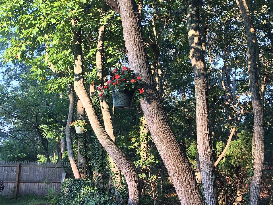 2nd image of 1591 Forge Pond Rd