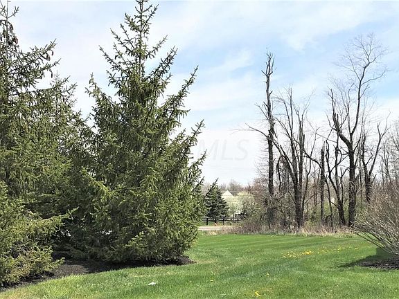 3rd image of 7895 Champaign Dr