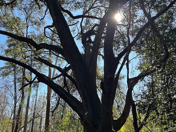 5th image of Strain Rd Lot Wp001