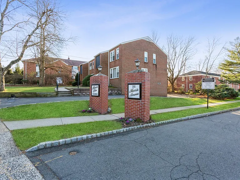 390 Morris Ave #29 — Photo 19