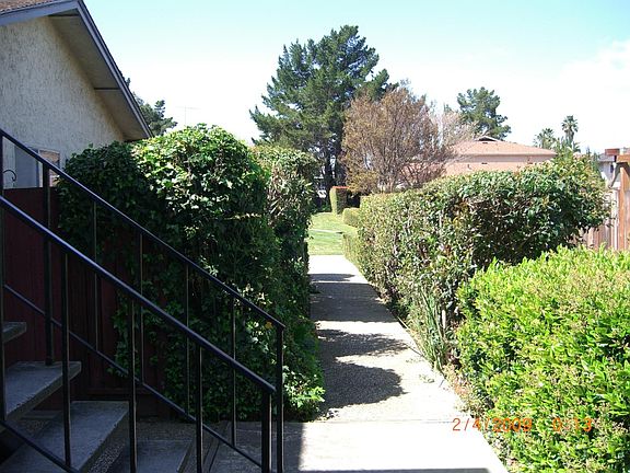 3rd image of 3788 Bertini Ct APT 1