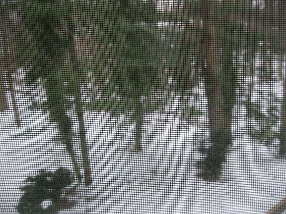 2nd image of 11585 Red Leaf Ct