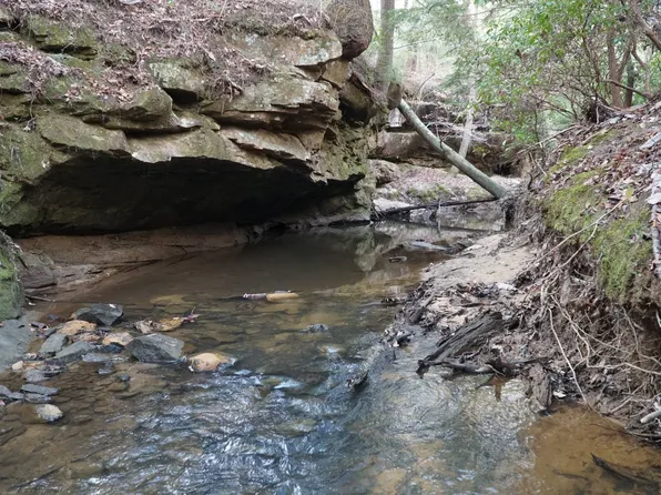 0 County Road 17, Haleyville, AL 35565