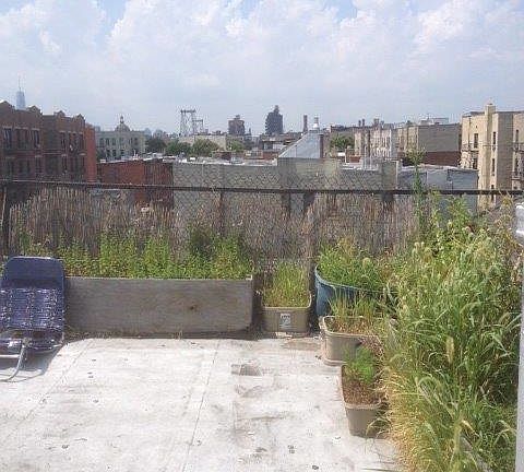 4th image of 355 S 4th St #1BBB