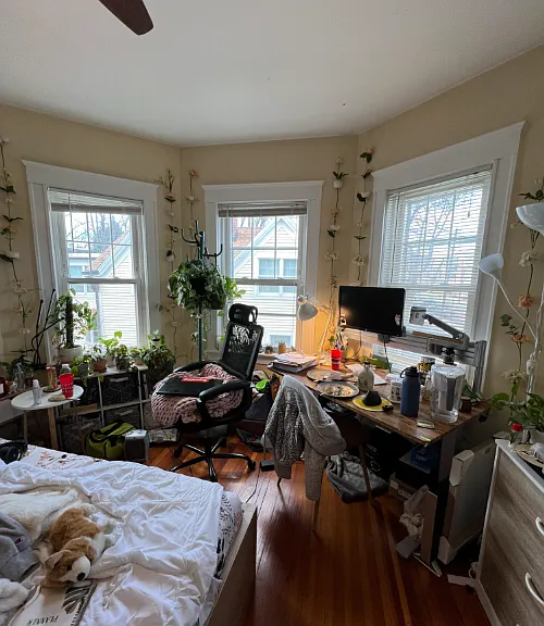 332A Beacon St — Photo 6