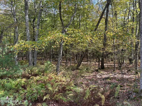 LOT 410 Fox Rd, Dingmans Ferry, PA 18328
