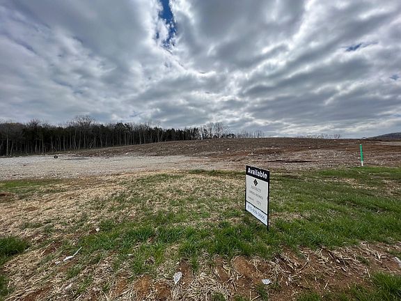 Ample Opportunity to build your estate-sized dream home