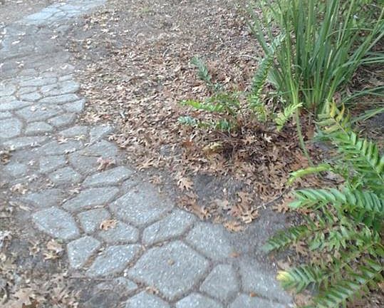 3rd image of 3939 NW 16th Blvd