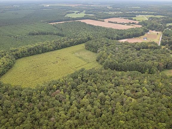 3rd image of Freeman Mill Rd