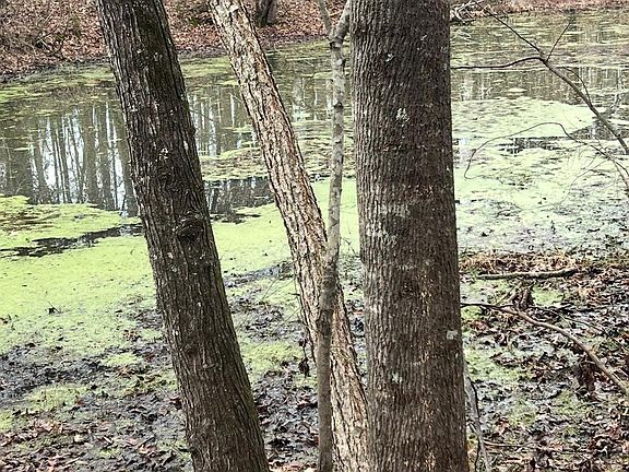 2nd image of 0 Fish Pond Rd