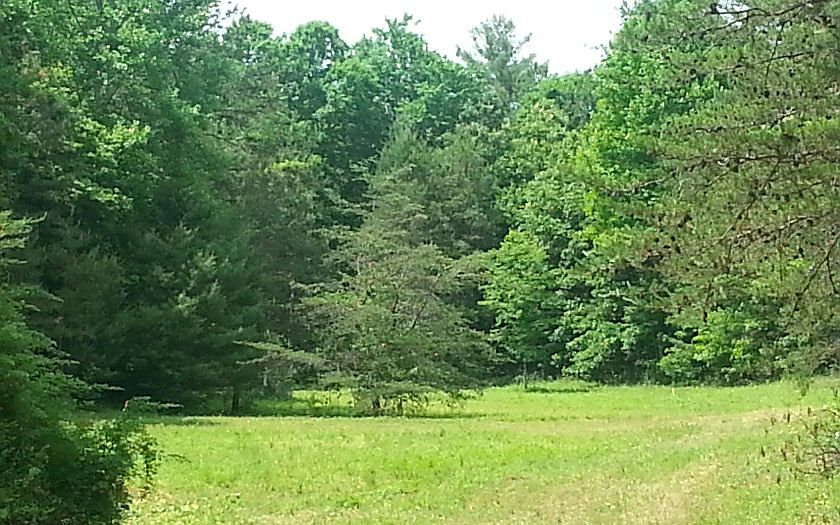 1st image of Mount Herman Rd