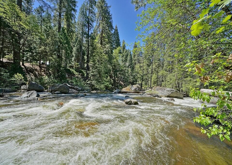 The American River is 20 feet from the cabin.