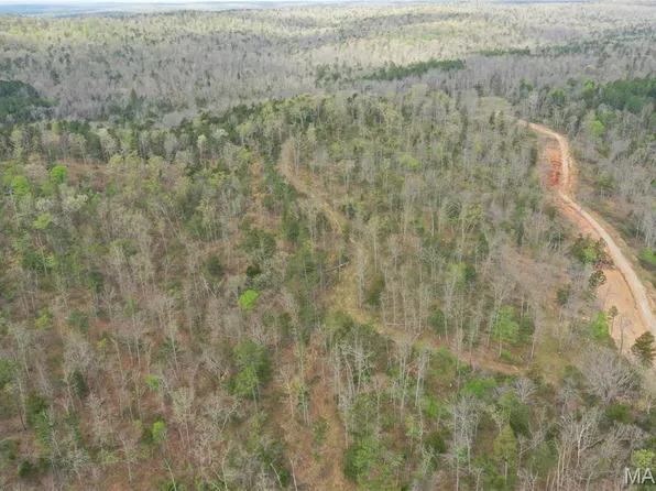 2 Furnace Creek Rd, Potosi, MO 63664