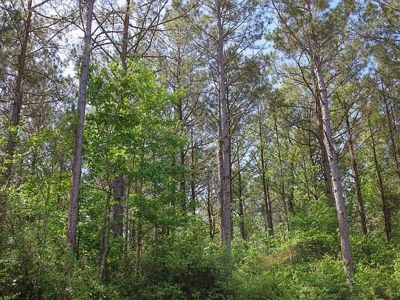 2nd image of Tbd Willard Taylor Rd
