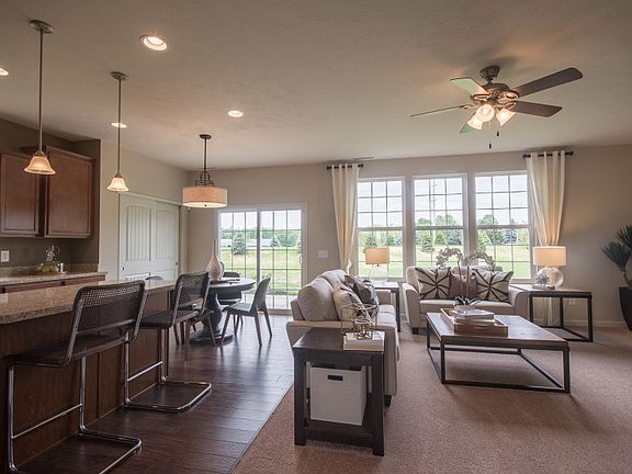 Model Representation