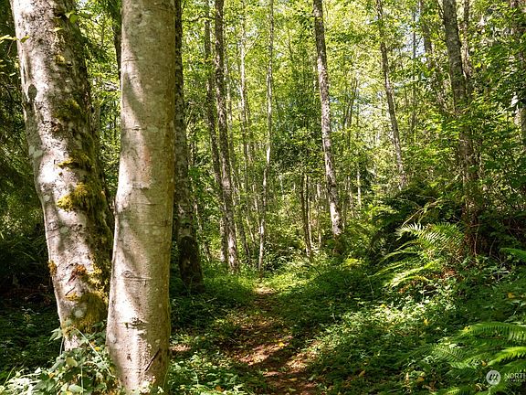 4th image of 4045 Moraine Lane