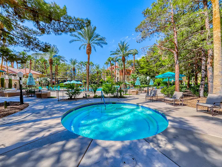 230 E Flamingo Rd #313 — Photo 19