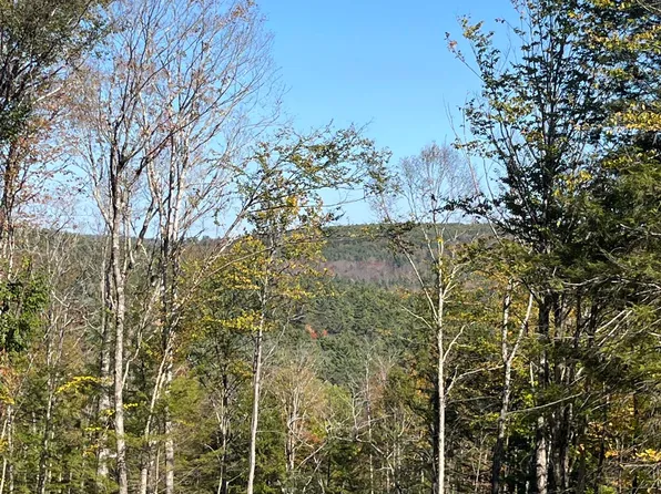 Map 227 Lot 010 Underwood Road, Acworth, NH 03601