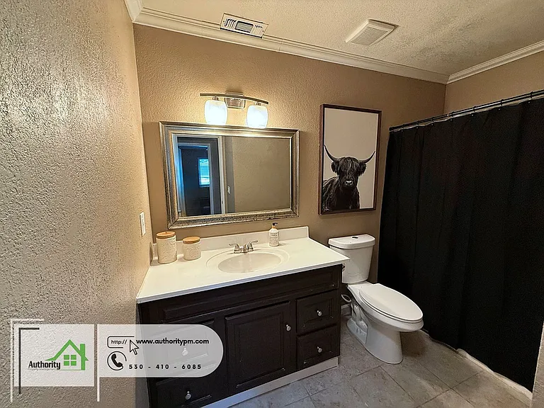 2583 Velia St — Photo 12