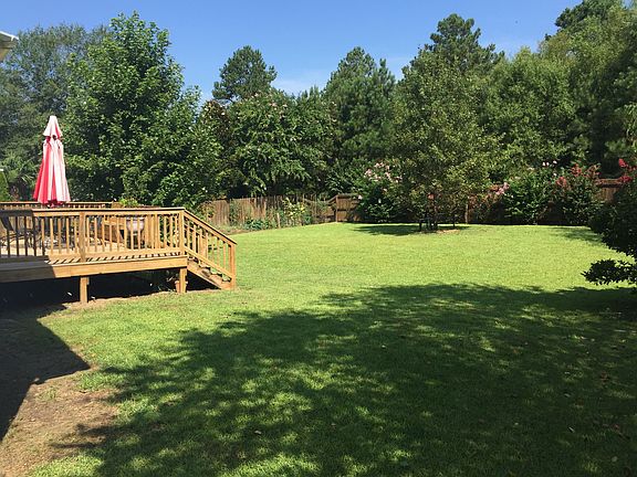 back yard