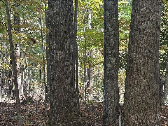 5th image of Lot 24 Larkspur Trail