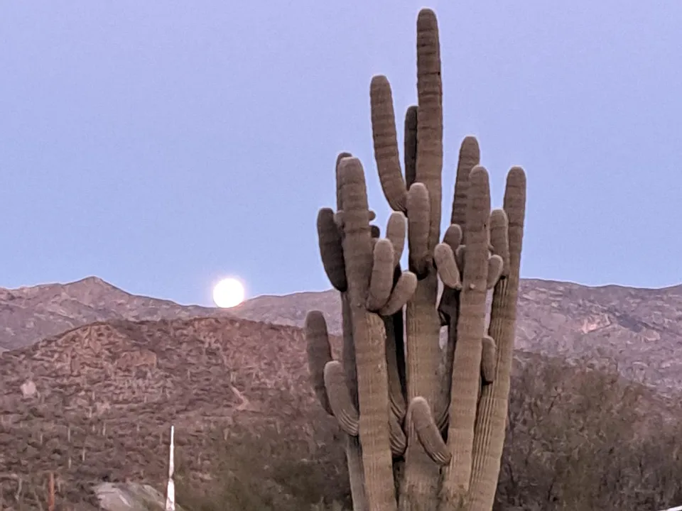 34650 S Vine St