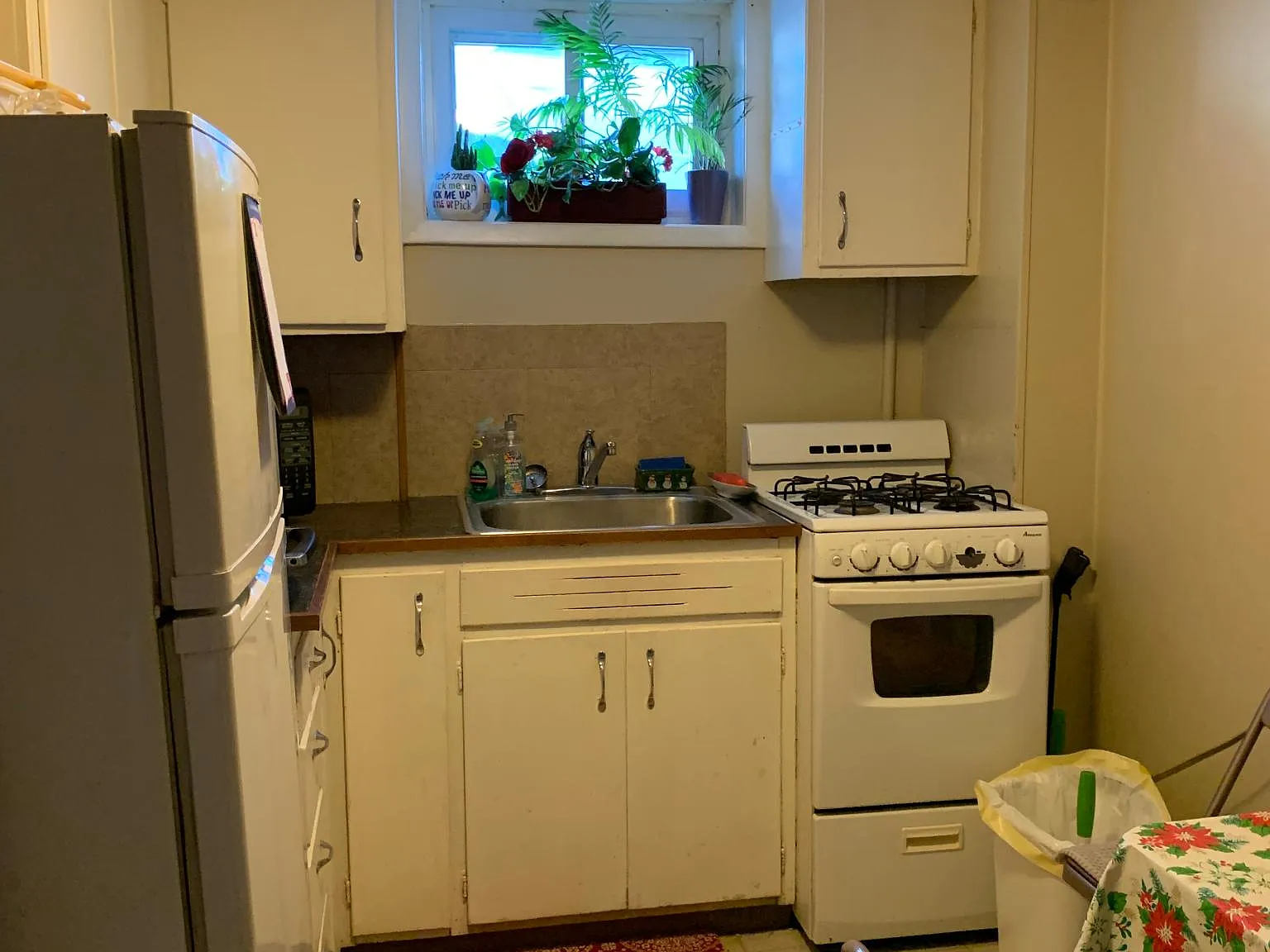 1 bed, $750 — Photo 3