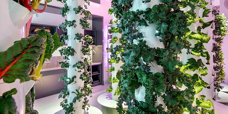 Rented by Corcoran | media 61