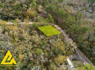 12817 Morton St, New Port Richey, FL 34654