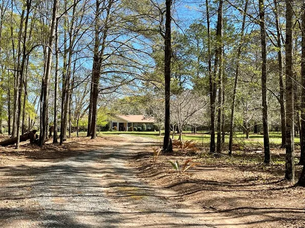 2589 Ow Miller Rd, Ellaville, GA 31806