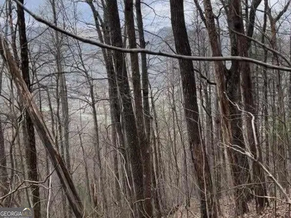 0 Boulder Ln Lot 7A, Rabun Gap, GA 30568