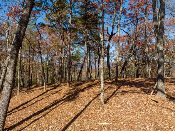 LOT 39 Preserve Trl, Ellijay, GA 30536