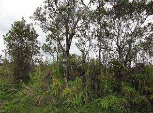 Omeka Rd LOT 38, Volcano, HI 96785