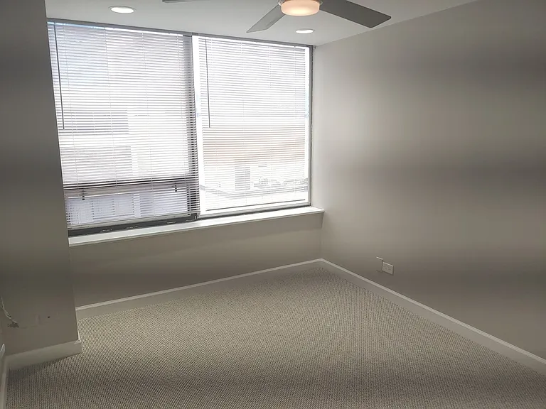 233 E Erie St #2409 — Photo 14