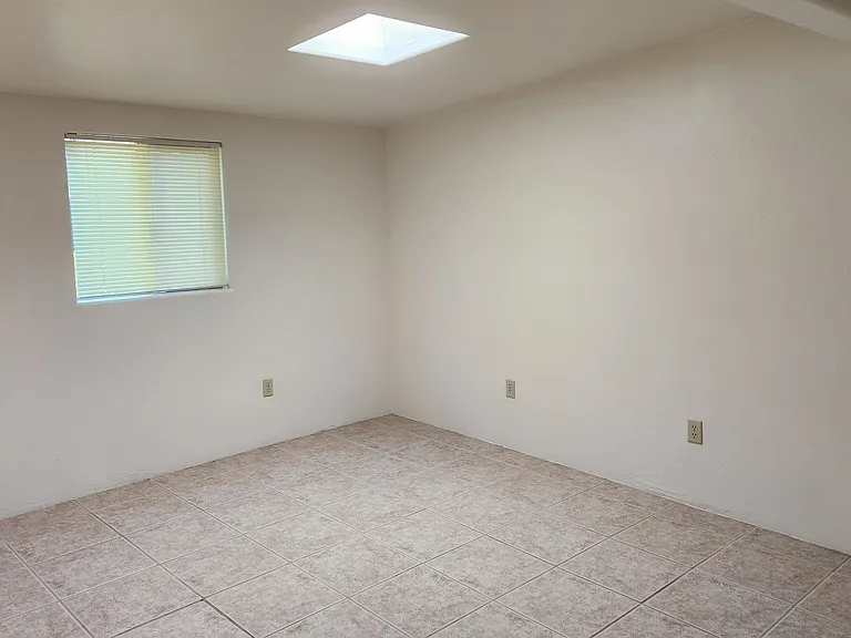 Bedroom with Skylight