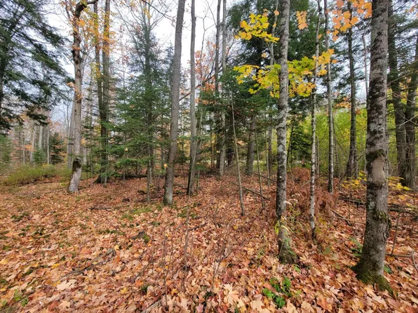 On Cth #A-lot 3, Deerbrook, WI 54424