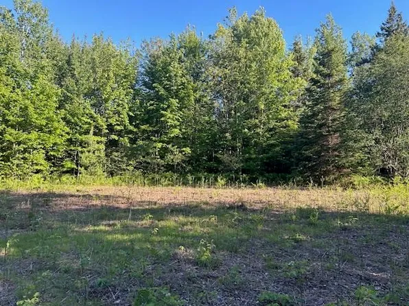 8586 N Us Highway 31, Levering, MI 49755