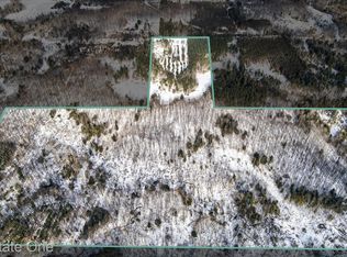 V/l 1 Mile Rd, Leroy, MI 49655