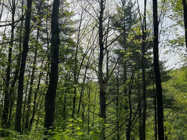649 US Route 4, Bridgewater, VT 05034