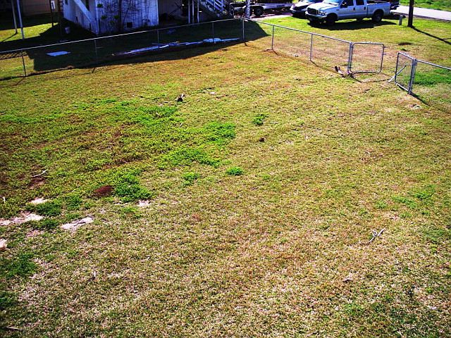 2nd image of Blue Water Dr