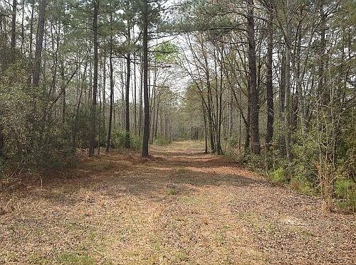 2nd image of 268 Leahs Loop