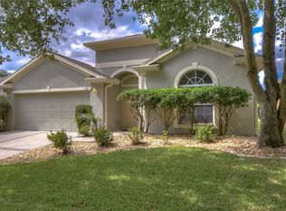 1132 Emerald Hill Way, Valrico, FL 33594