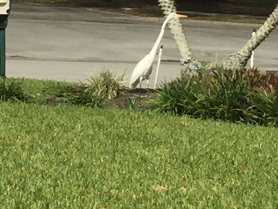 1st image of 5238 Andrea Blvd