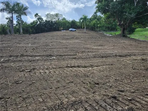 BO. LOMAS, CANOVANAS, PR 00729